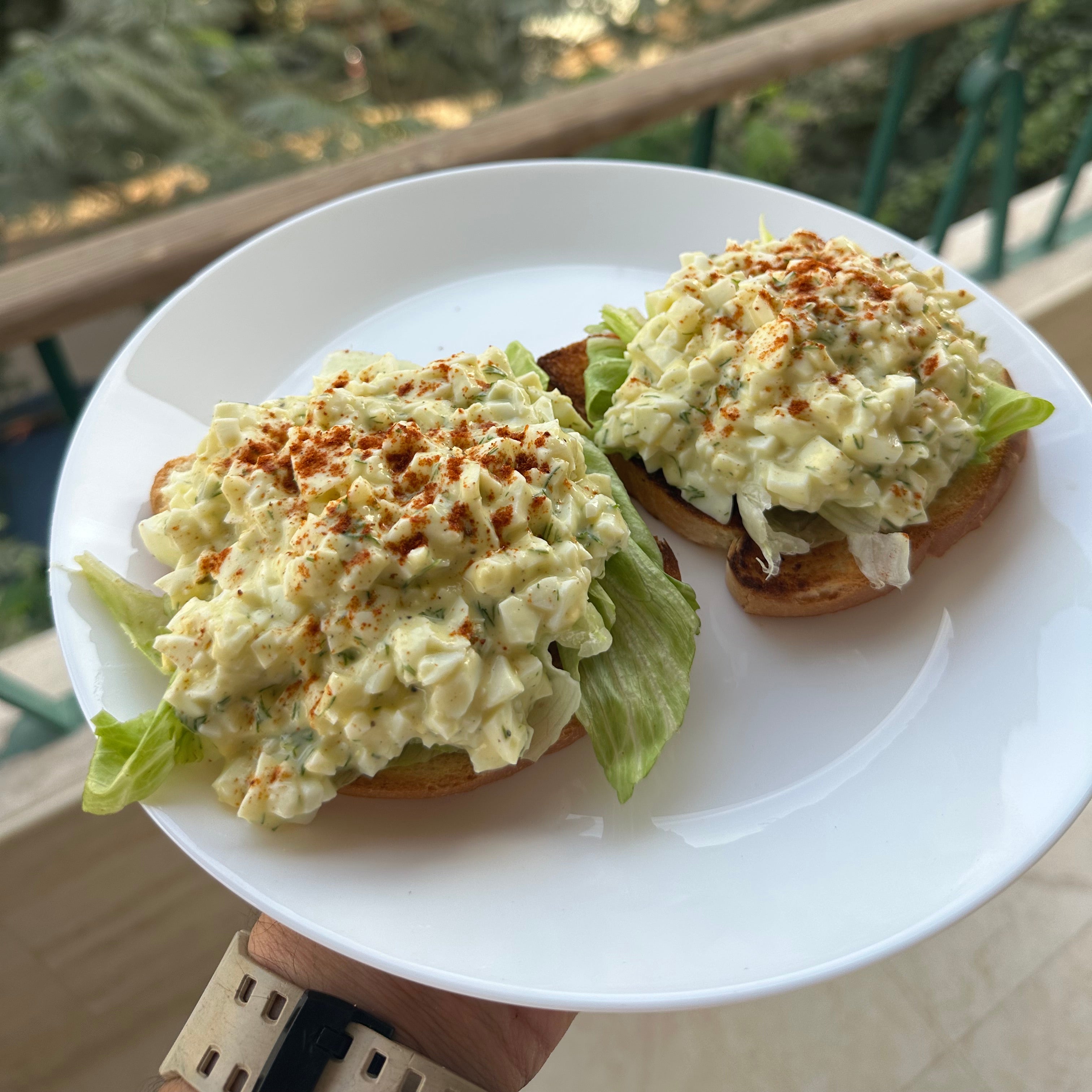 PROTEIN RECIPE DIGITAL COOKBOOK(PDF) ( 50% OFF )